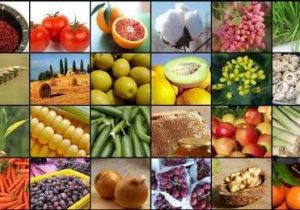 فارس نیازمند پایانه صادراتی محصولات کشاورزی