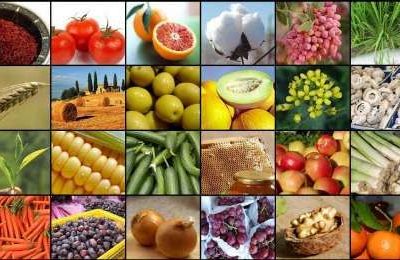 فارس نیازمند پایانه صادراتی محصولات کشاورزی
