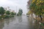 فارس بارانی می شود