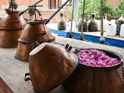 تولید ۱۱ میلیون تن گلاب در فیروزآباد