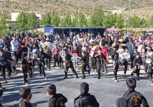 جشنواره بزرگ پیاده روی ایرانیان در شیراز