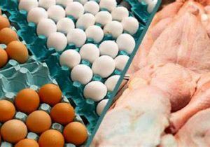 کاهش قیمت مرغ و تخم مرغ در بازار فارس