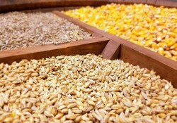 تامین علوفه و نهاده‌های دامی عشایر فارس
