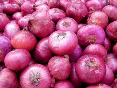 تولید 420 هزارتن پیاز خوراکی در فارس