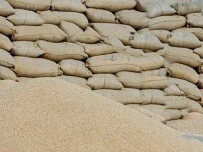 محکومیت ۱۲ میلیارد ریالی برای احتکار غلات