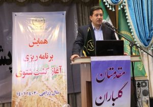 جلوگیری از هدر روی ۲۵ هزار تن گندم در فارس