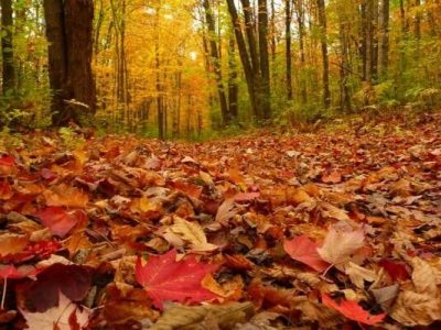 پاییز بدون بارش پیش روی فارس