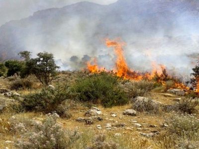 کاهش ۹۷ درصدی آتش سوزی در مراتع فارس
