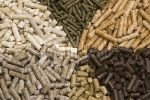 صادرات خوراک آبزیان فارس به ۹ کشور