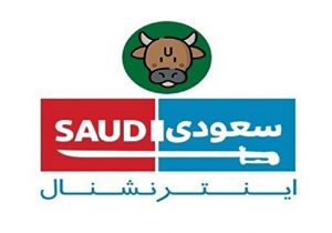 بازداشت یکی از عوامل اصلی شبکه تروریستی سعودی اینترنشنال در ایران