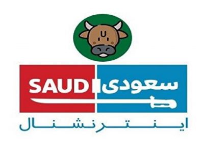بازداشت یکی از عوامل اصلی شبکه تروریستی سعودی اینترنشنال در ایران