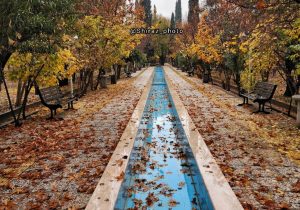 عکس:باغ بهار نارج شیراز در نخسین روزهای زمستان