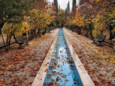 عکس:باغ بهار نارج شیراز در نخسین روزهای زمستان