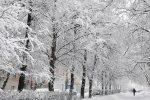 بارش 35 سانتی متری برف در اقلید