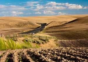 آغاز طرح جهش تولید دیم زار‌های شهرستان ارسنجان