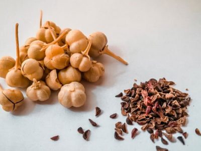 با خواص درمانی و فواید شگفت ‌انگیز «اسپند» آشنا شوید