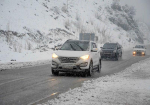 در بهار زمستان خود نمایی می کند