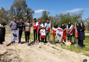 به دستان امدادگران فارس کاشت ۵ هزار نهال