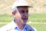 خود کفایی در گندم در اولویت قرار دارد