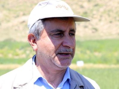 خود کفایی در گندم در اولویت قرار دارد