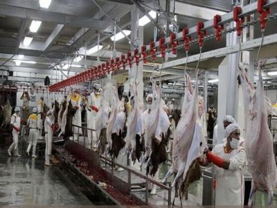 کشتارگاه متخلف ۲ میلیارد جریمه شد