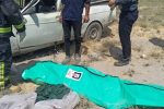 برخورد وانت پیکان با شتر/راننده جان باخت