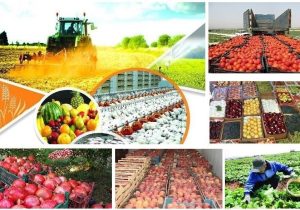 فارس، نماینده ایران در نمایشگاه کشاورزی و صنایع غذایی قطر