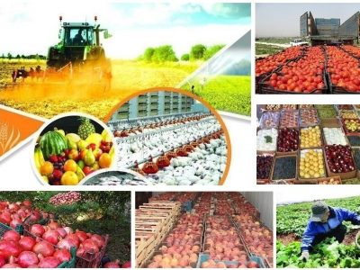 فارس، نماینده ایران در نمایشگاه کشاورزی و صنایع غذایی قطر