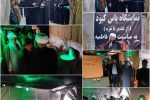 برپایی نمایشگاه یاس کبود در سروستان