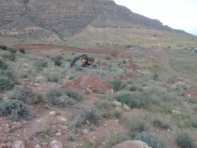 ارتفاعات مرودشت بذر کاری شد