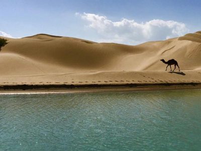 تلاقی کویر و دریا بندر تنگ