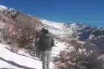 شکارچیان کبک و گراز به دام افتادند