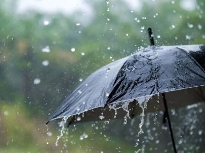 آخرین میزان بارش در فارس