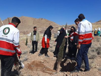 کاشت ۱۰۰ نهال در بوانات با هدف حفظ عرصه‌های جنگلی