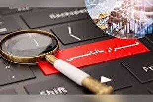 شناسایی فرار مالیاتی ۸۶۰ میلیارد تومانی دلال پتروشیمی در فارس