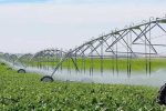 استفاده از سیستم آبیاری های نوین درمزارع استان فارس