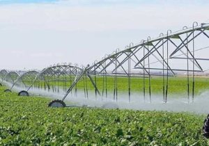 استفاده از سیستم آبیاری های نوین درمزارع استان فارس