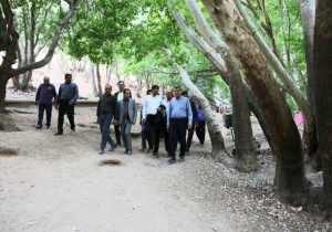 ساماندهی بهشت گمشده فارس