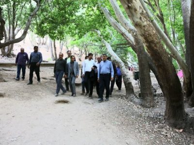 ساماندهی بهشت گمشده فارس