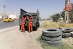 شهرداری شیراز برای مقابله با پشه آئدس دست به کار شد