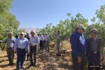 کنترل رئیس پژوهشکده از  بیماری سرخشکیدگی درختان پسته در فارس