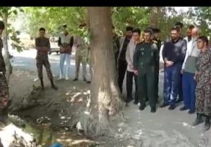 تنش آبی و آفت زدگی درختان منطقه قصردشت سعادت شهر