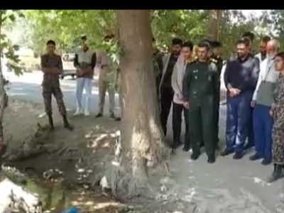 تنش آبی و آفت زدگی درختان منطقه قصردشت سعادت شهر