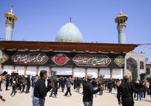 فارس در سوگ سقای کربلا