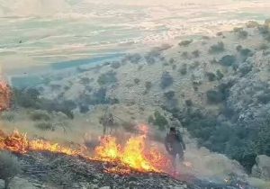 مهار آتش سوزی در گردنه ممسنی