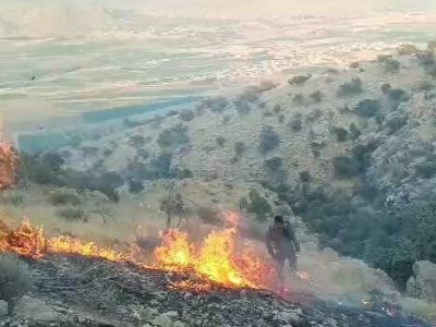 مهار آتش سوزی در گردنه ممسنی