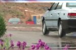 بارش های رگباری در برخی مناطق فارس در اوج گرما