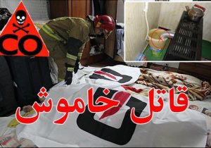 گازگرفتگی ۱۴۴ نفر در استان فارس/ مرگ ۶ نفر از شهروندان