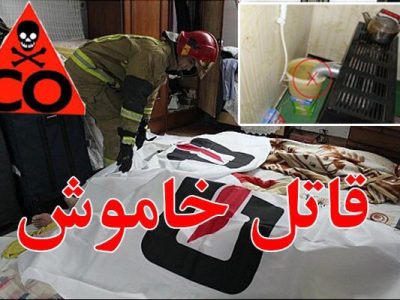گازگرفتگی ۱۴۴ نفر در استان فارس/ مرگ ۶ نفر از شهروندان