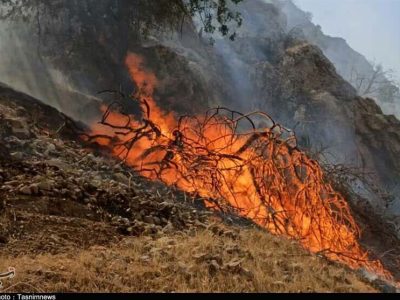 آتش‌سوزی گسترده در کوه‌های قلعه سفید ممسنی